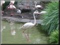 img_0085a