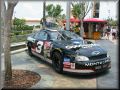 citywalk_nascar1