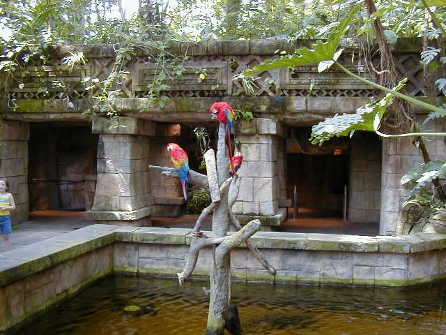 p5070007